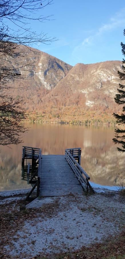 Apartment Sonce Bohinj Exterior photo